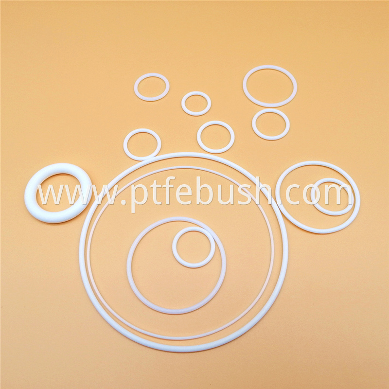 Ptfe O Ring 3